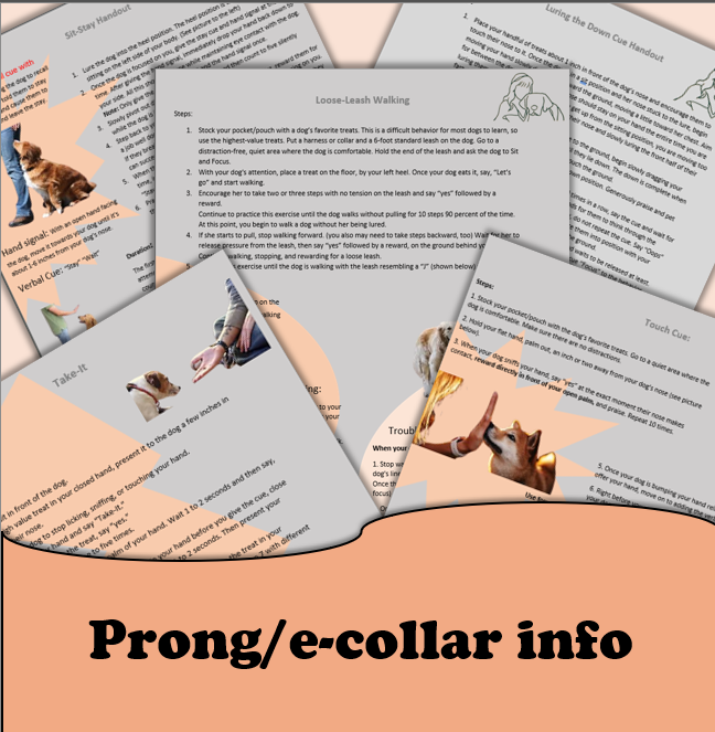 Prong collar and E-collar