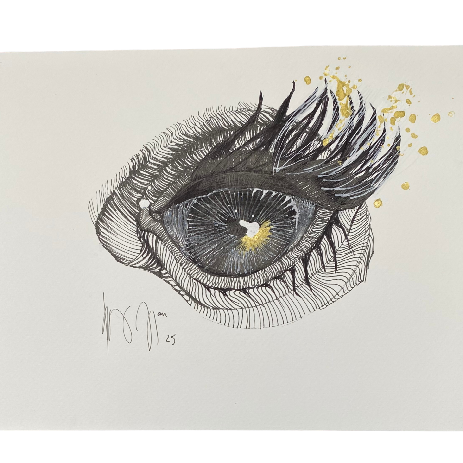 Los Ojos - 2025