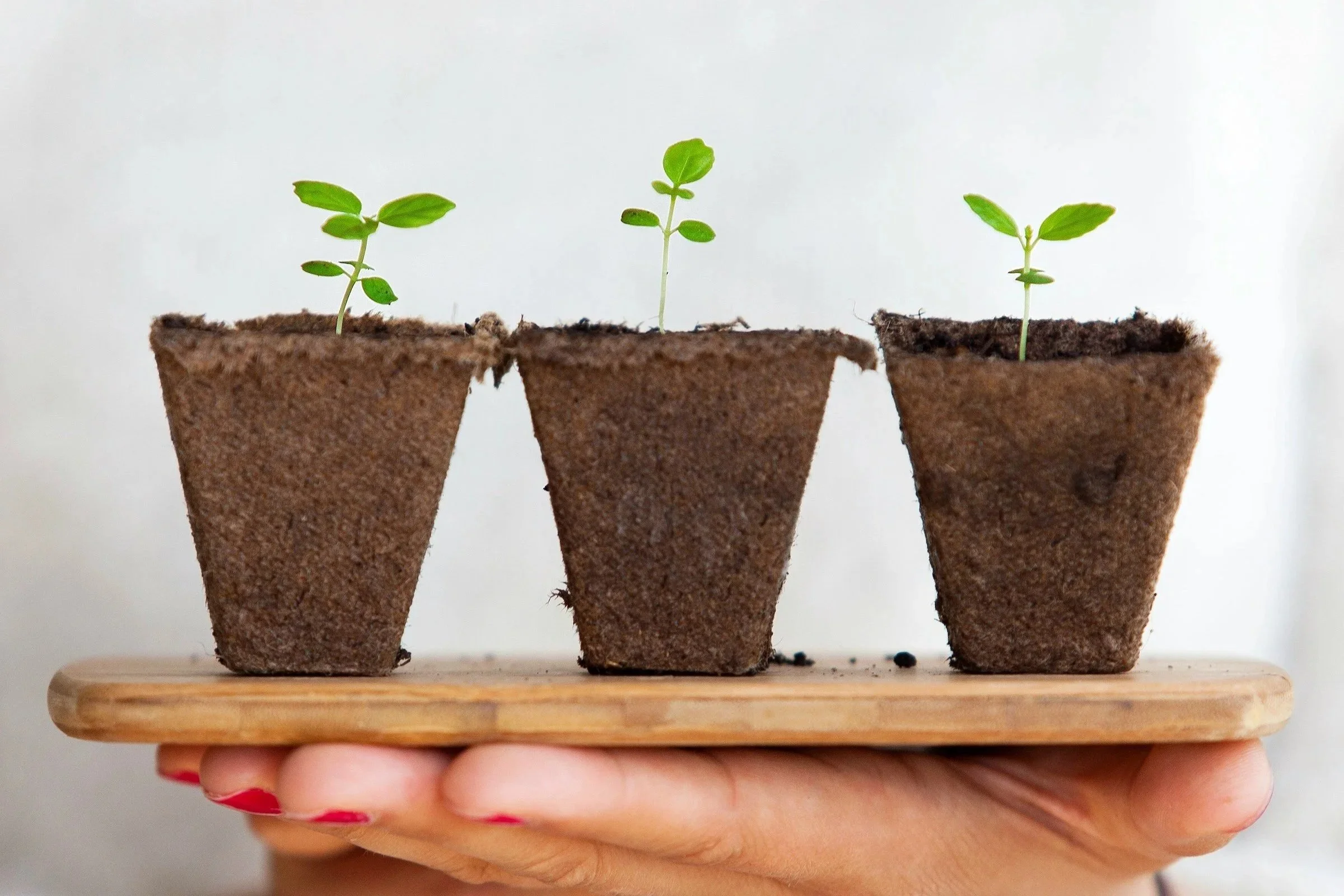 March Founder’s Blog Series: Growth Without Burnout