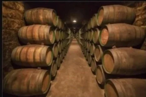 Wine barrels stacked in a cellar aisle.
