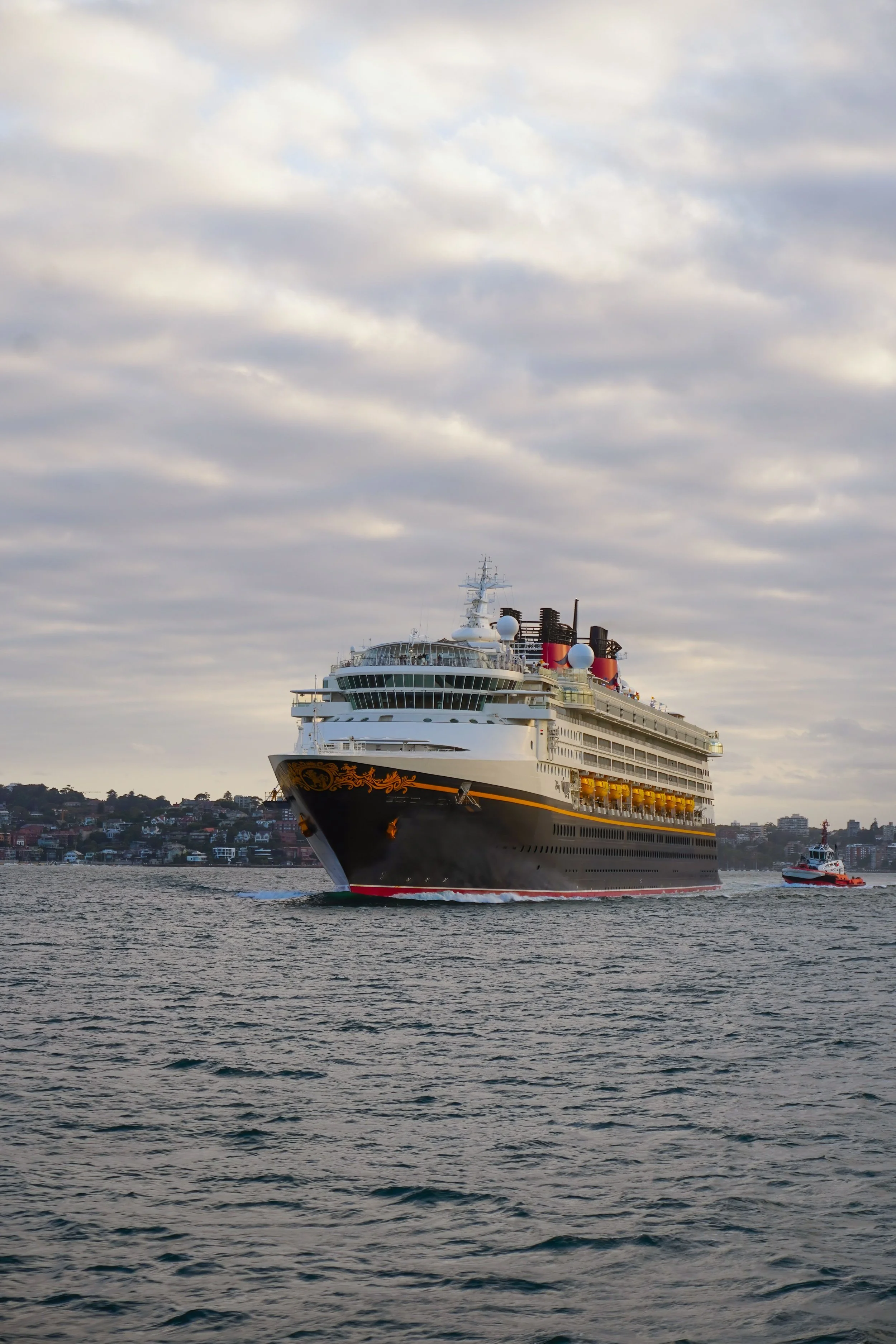 Disney Cruise Line Is Not Just For Kids — And Here's The Proof