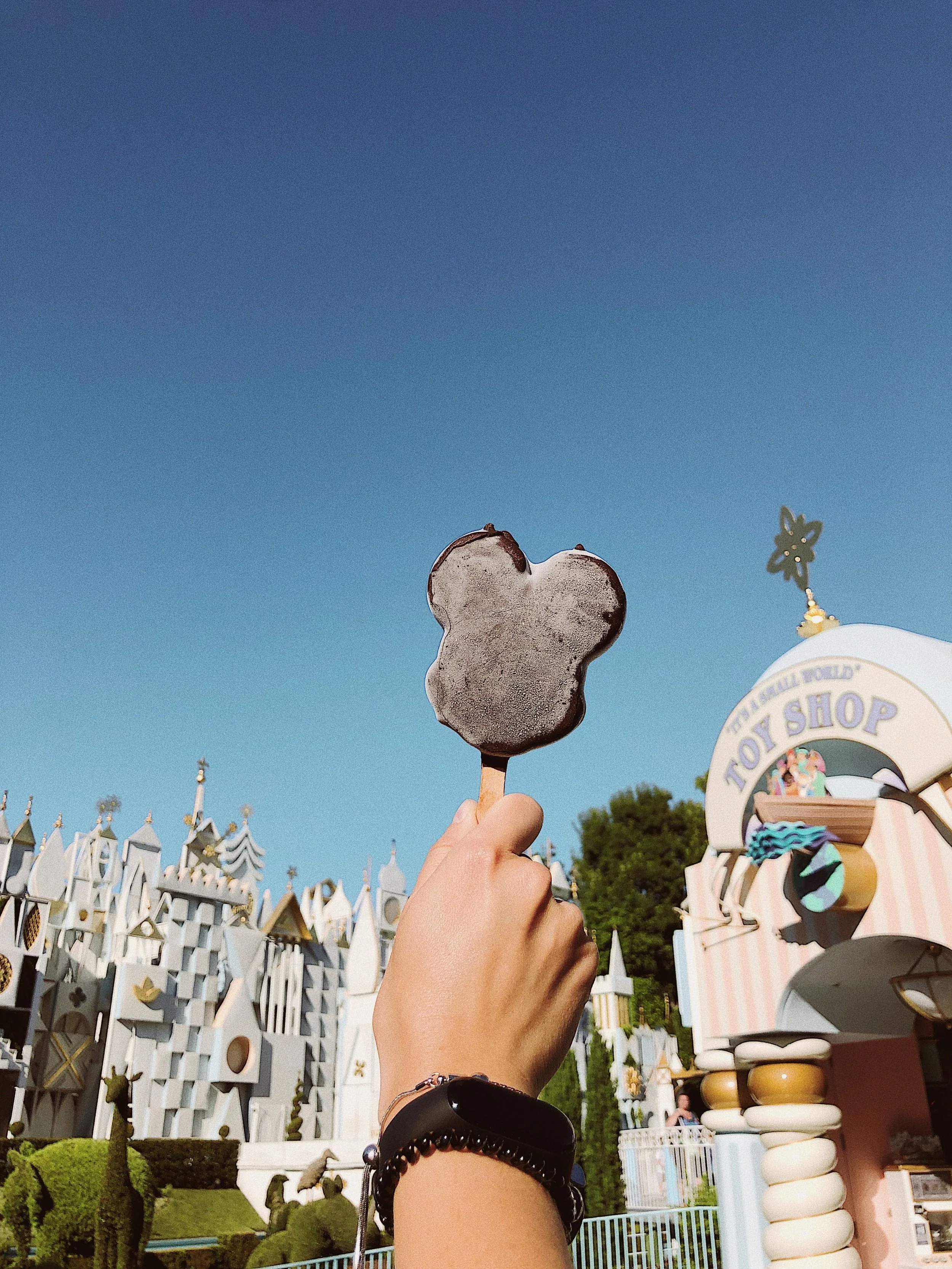The POTS Guide to High-Sodium Sit-Down Dining at Disneyland
