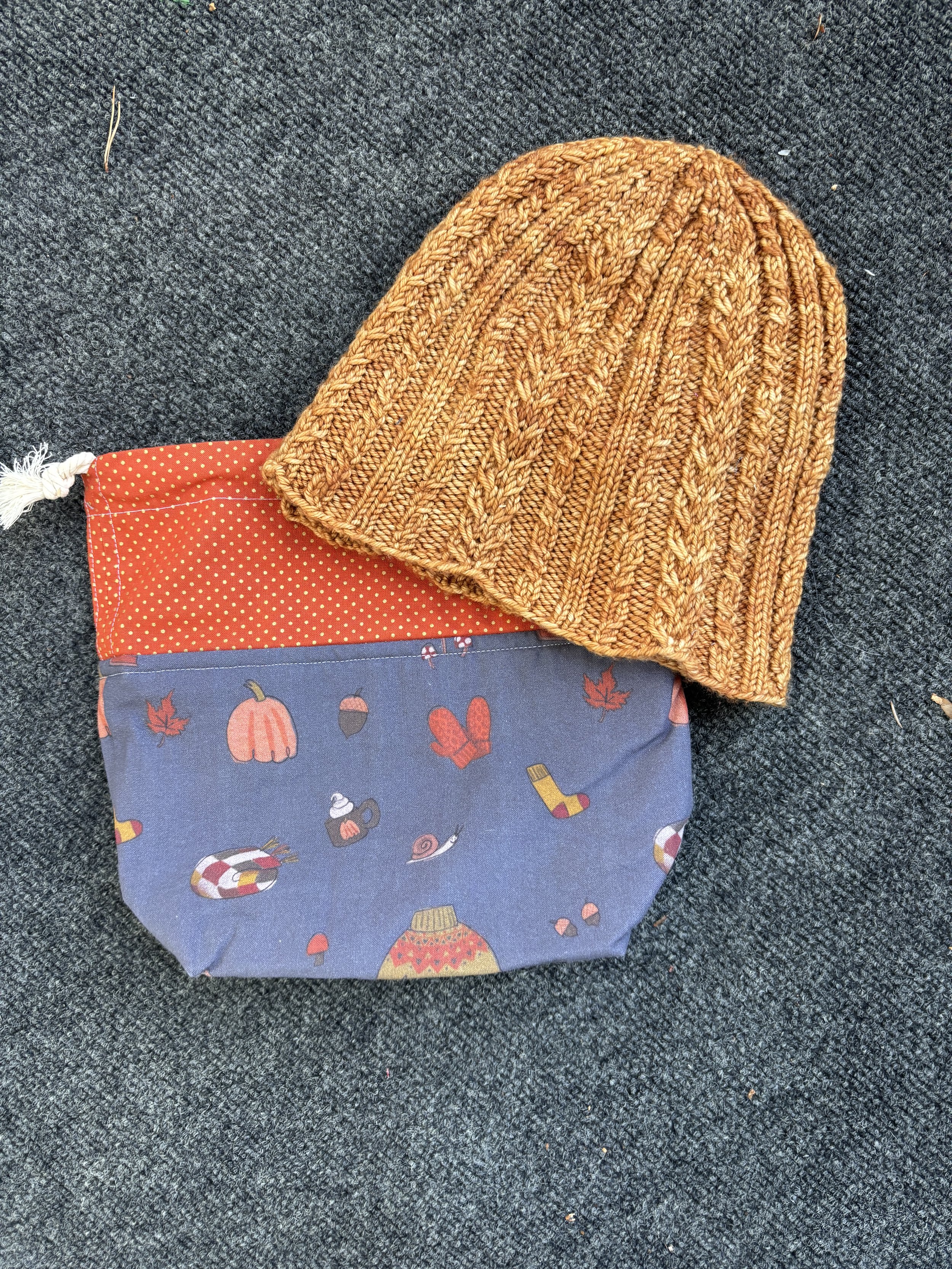 autumn cozies small drawstring 06.JPG