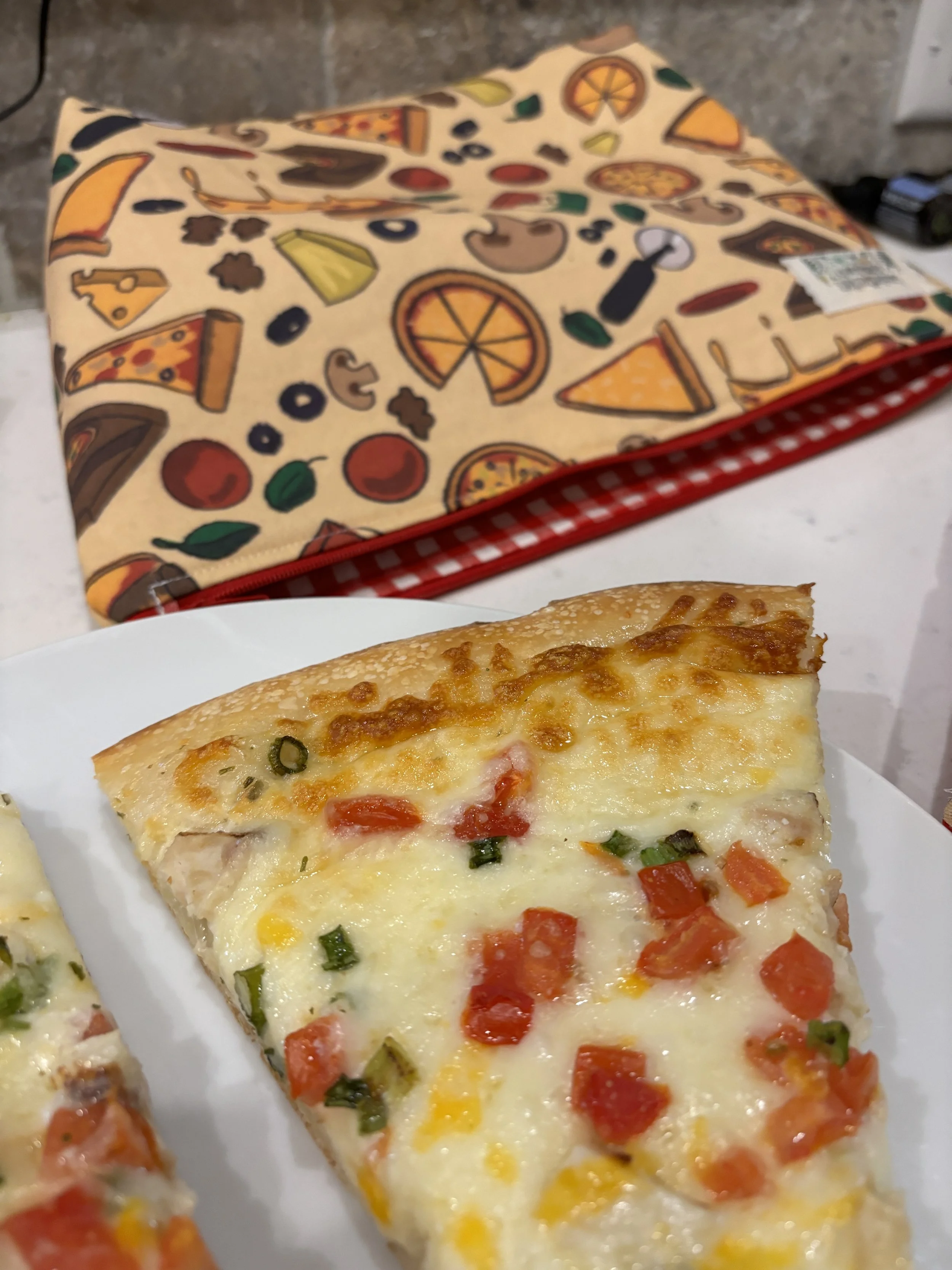 pizza medium zipper 03 OLD.JPG