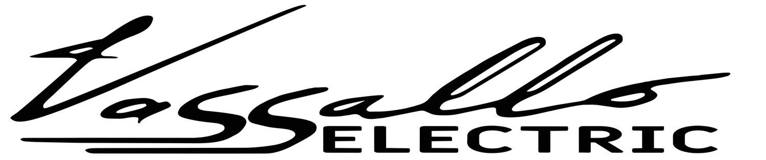Vassallo Electric