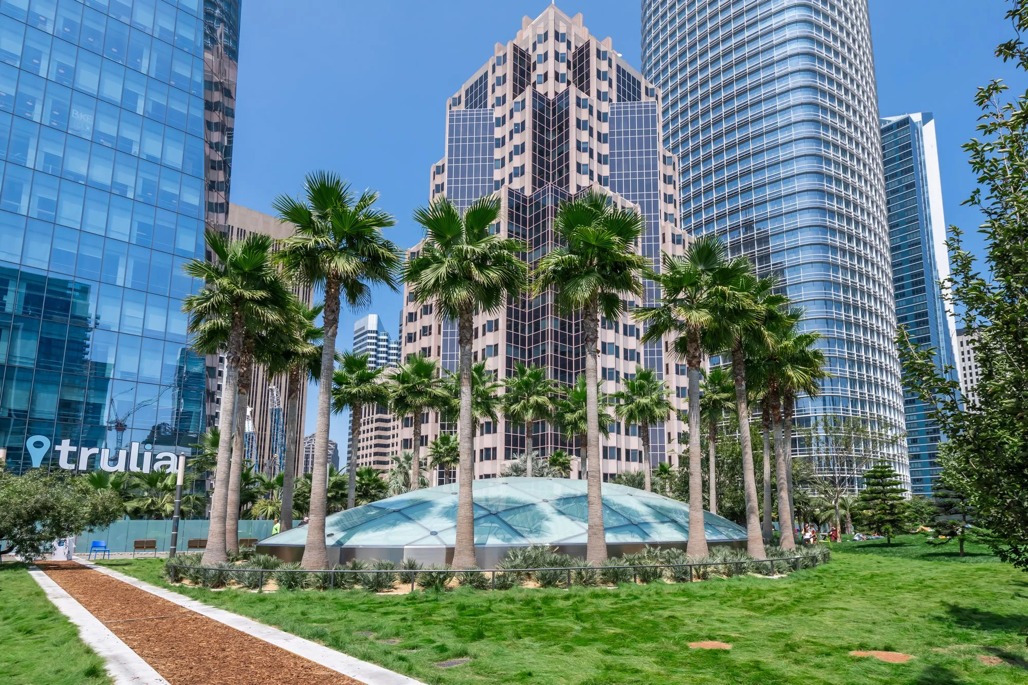 A cityscape featuring modern high-rise buildings with glass facades, set behind a park with palm trees and a walking path, under a clear blue sky.