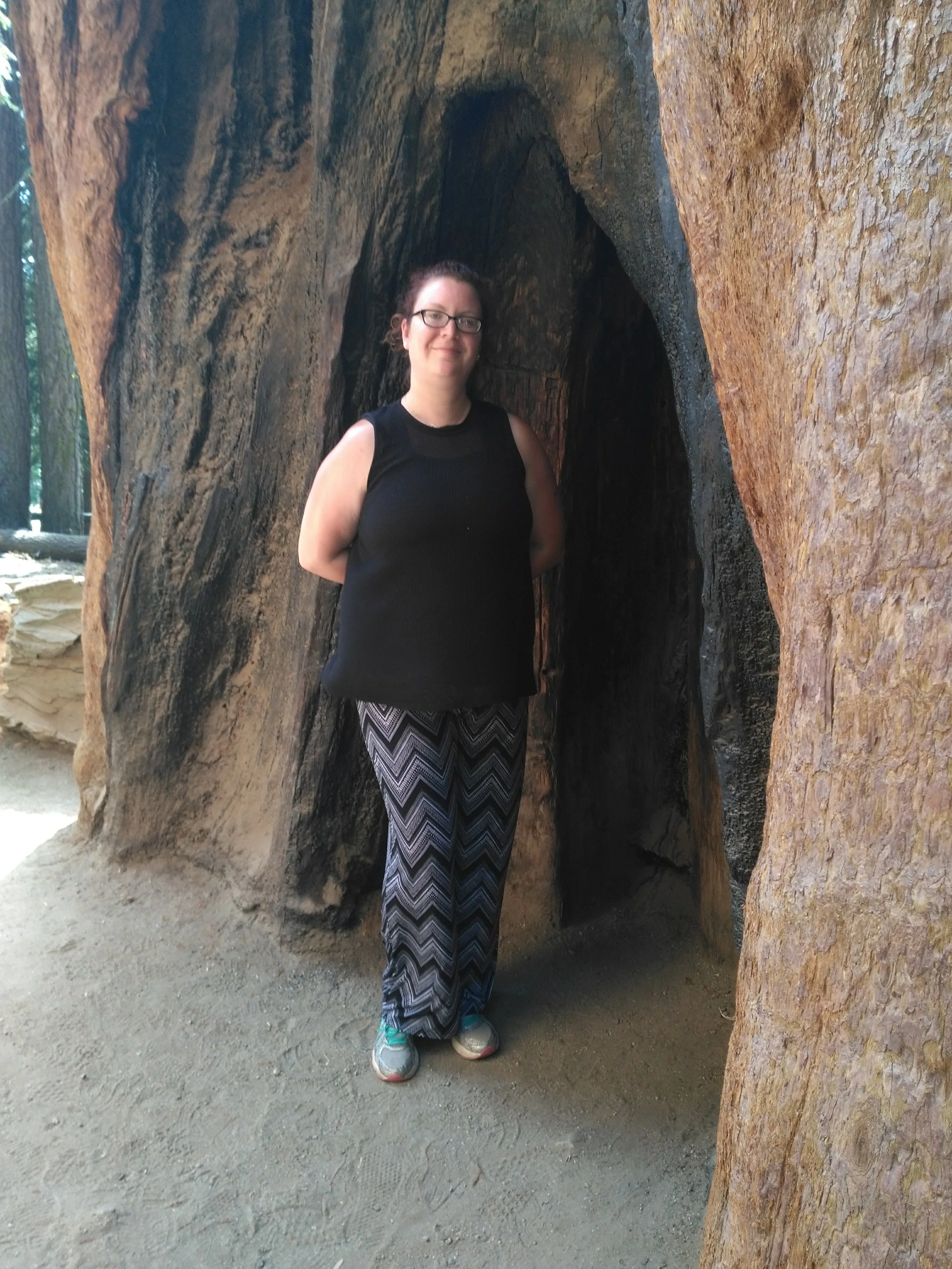 Redwood Forest, Ca