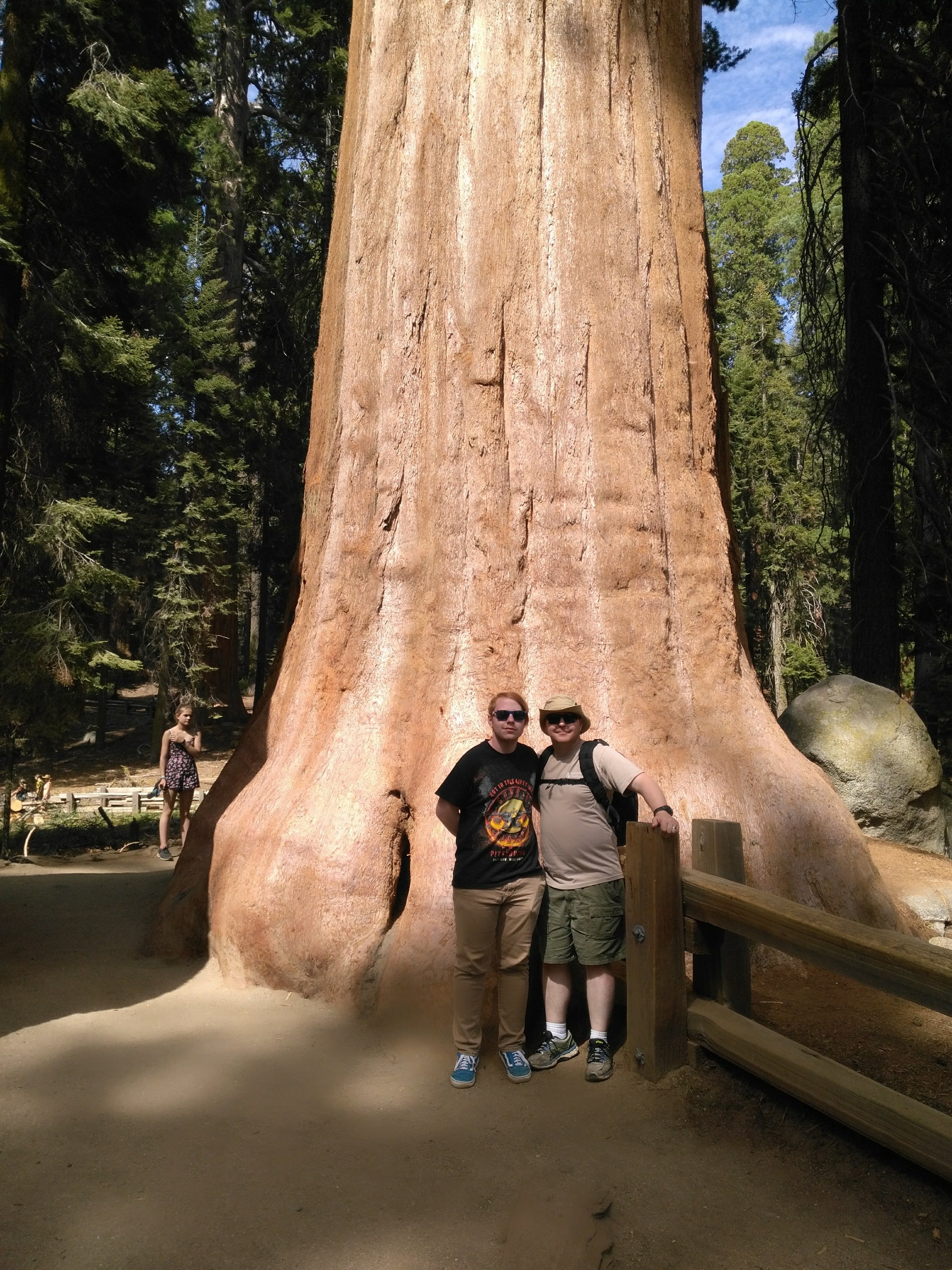Redwood Forest, Ca