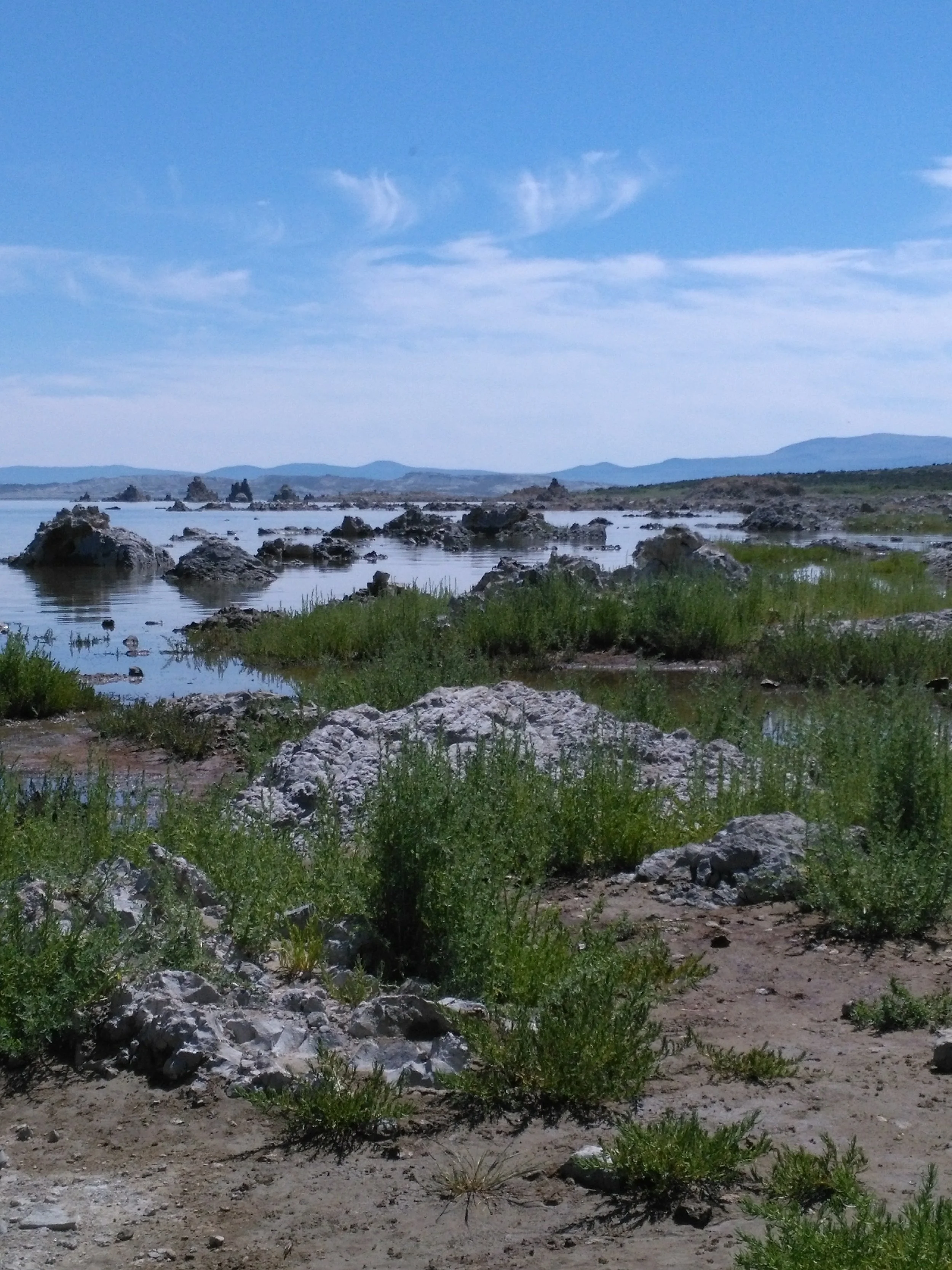 Mono Lake California 