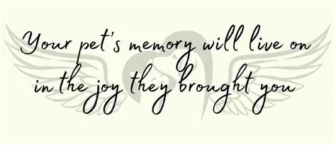 'Your pet's memory will live on in the joy they brought you'