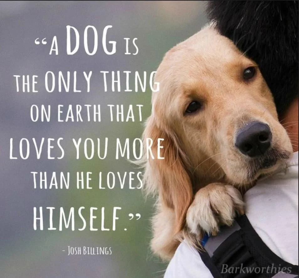 A person hugging a golden retriever dog. The background has a quote by Josh Billings about dogs and love.