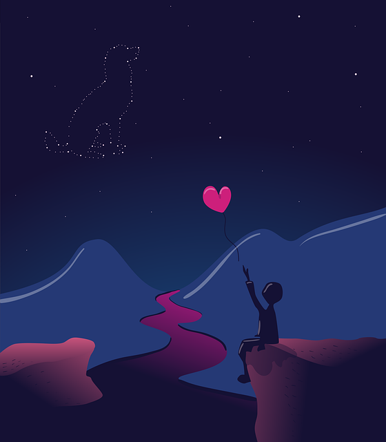 A person sitting on a cliff holding a heart-shaped balloon, watching a starry night sky with a constellation of a dog formed by stars.