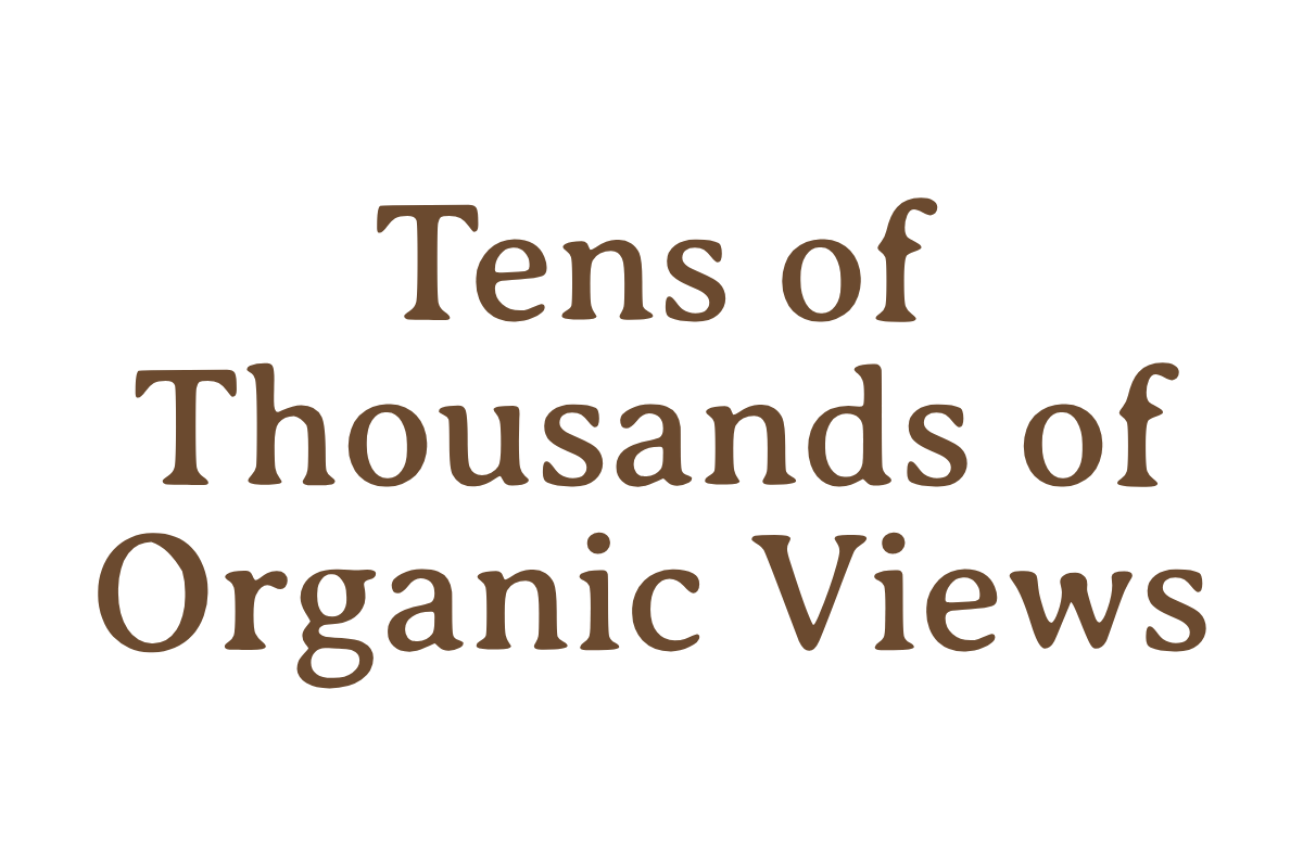 Instagram case study results for Hive Palm Beach managed by Ingrid Marinak, South Florida social media manager. Text reads 'Tens of Thousands of Organic Views' in brown font on a black background.