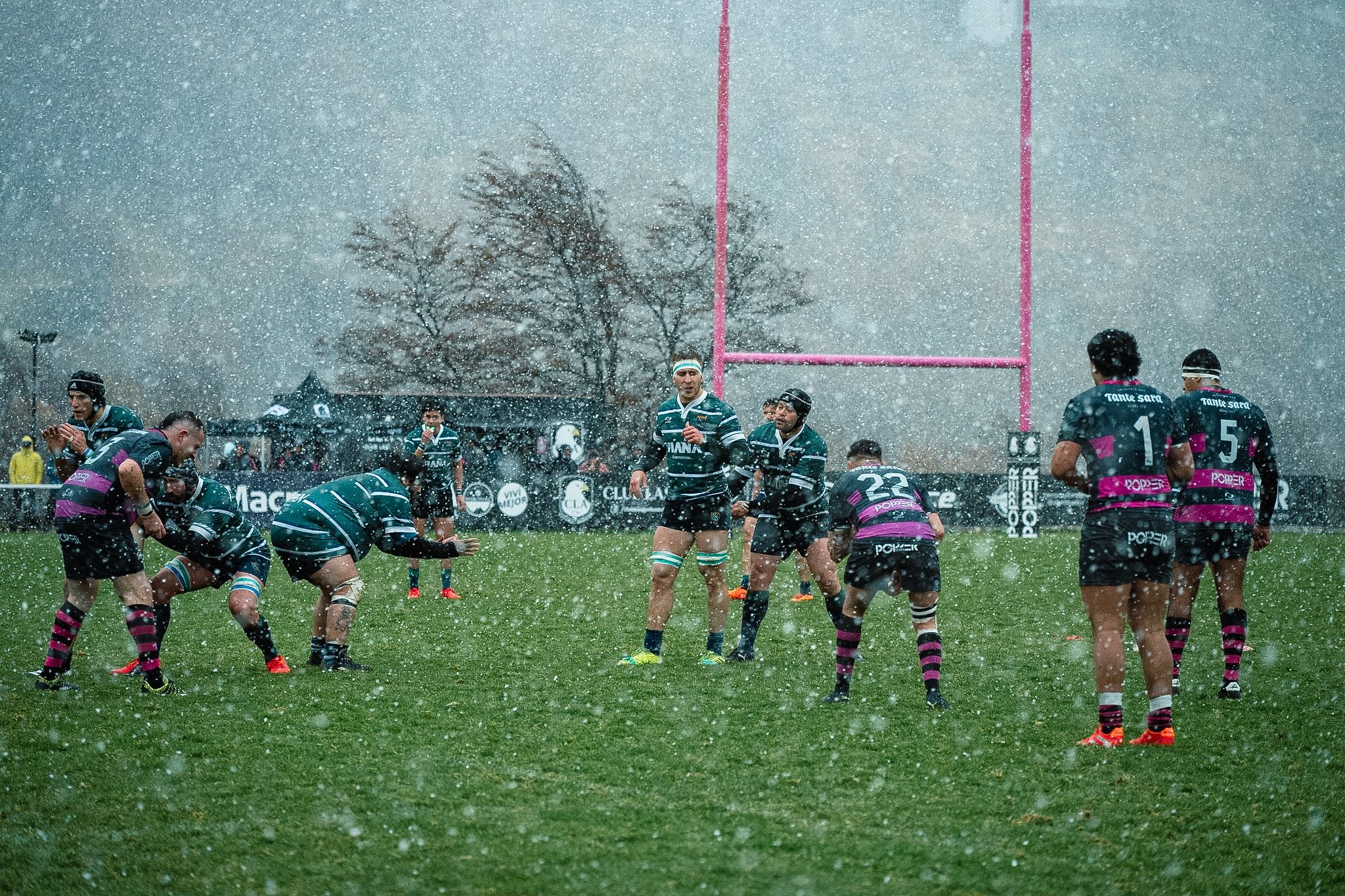 DSC_6450.jpg
