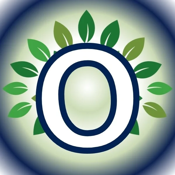 Letter O for Ownership.