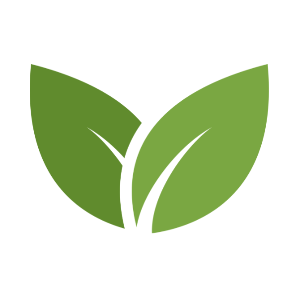 Two green leaves icon for Evergreen Therapeutics.