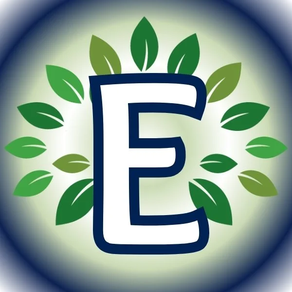 Letter E for Empowerment.