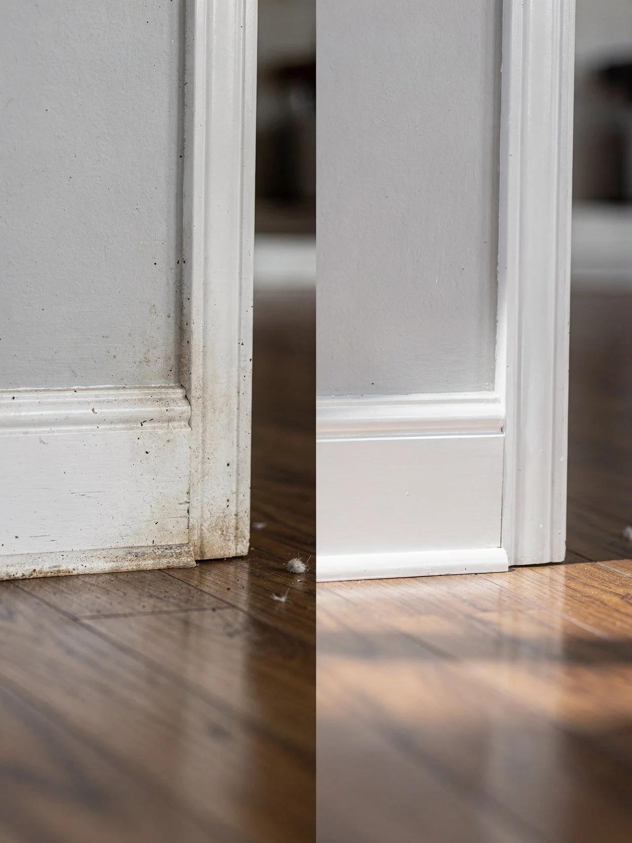 Baseboard Cleaning