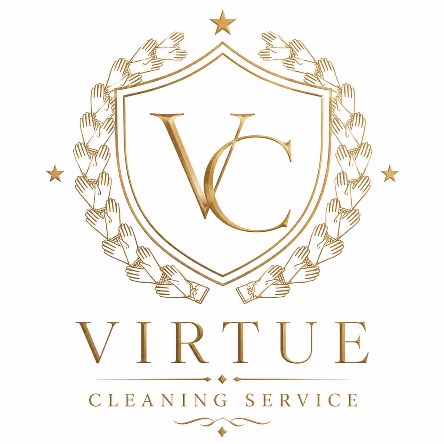 VIRTUE CLEANING SERVICE