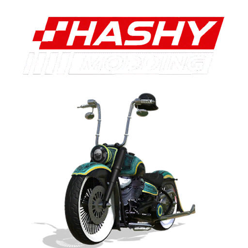 2019 Harley Softail Custom