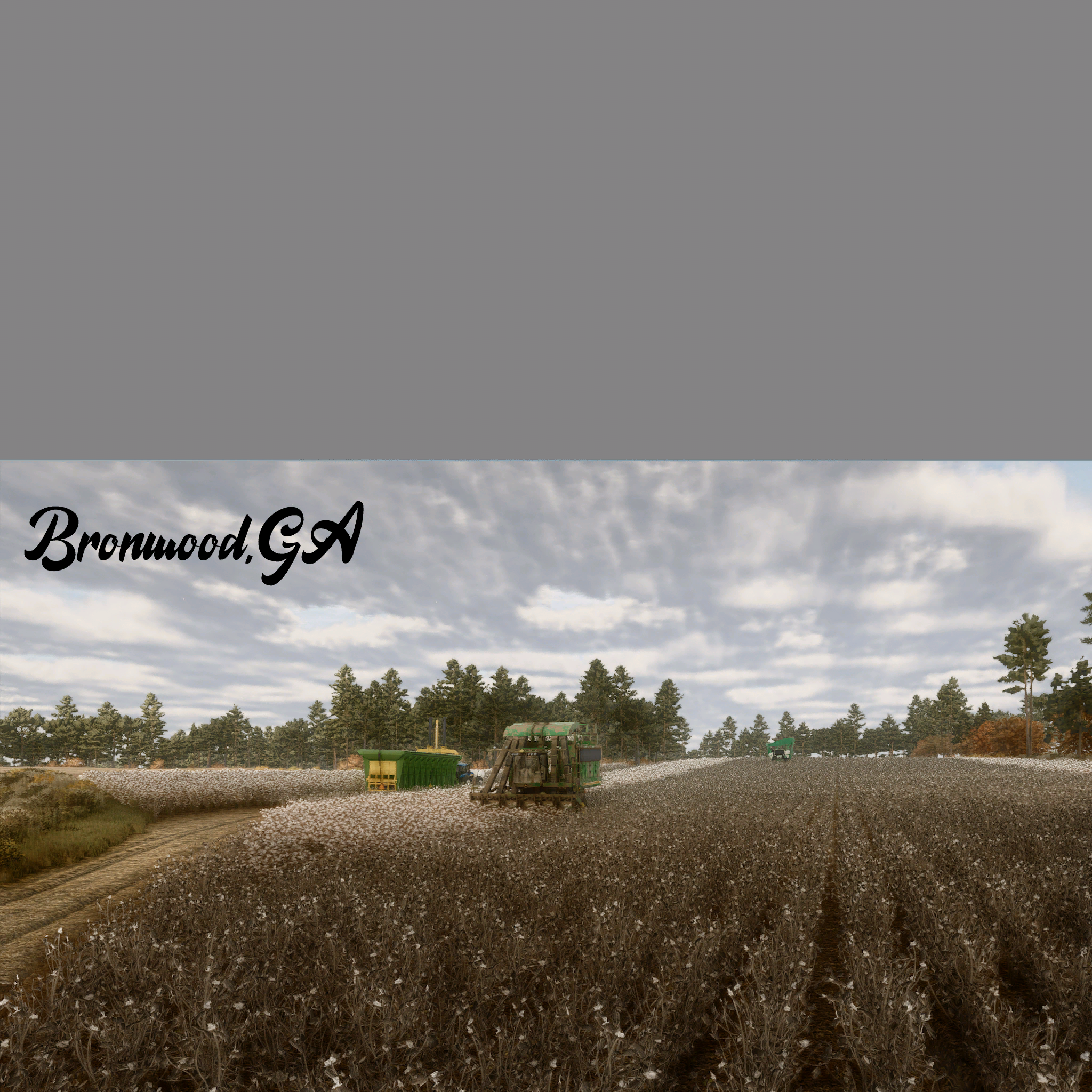Bron Wood GA RCR