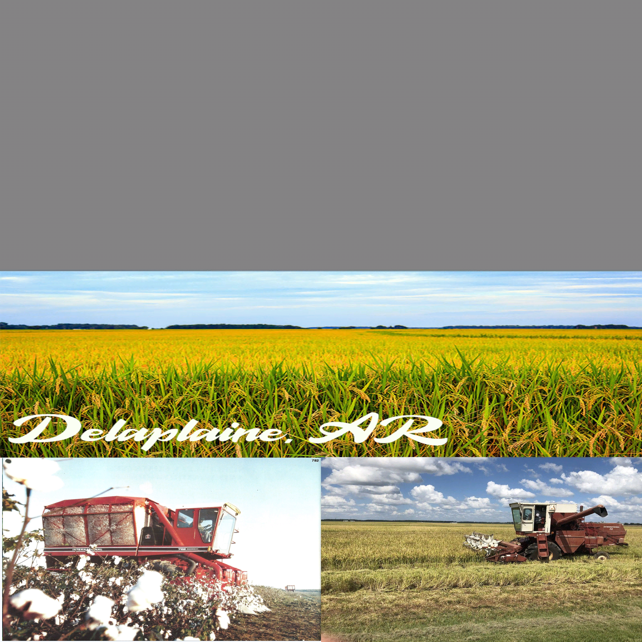 Delaplaine AR Delta 4x