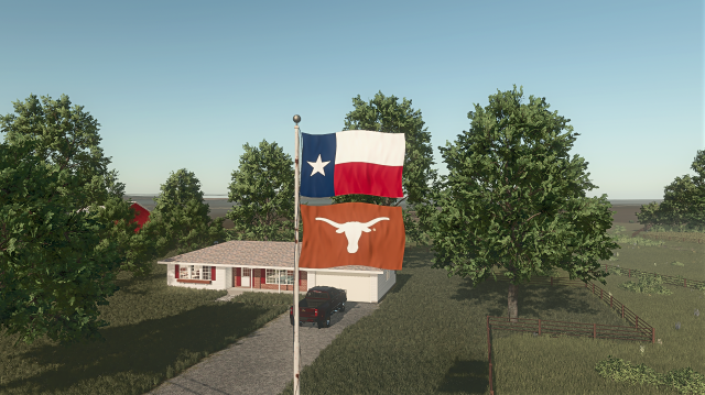 Texas UT Flag