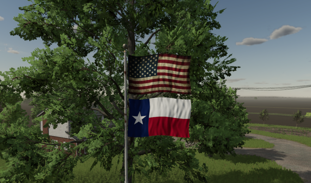 Texas Flag