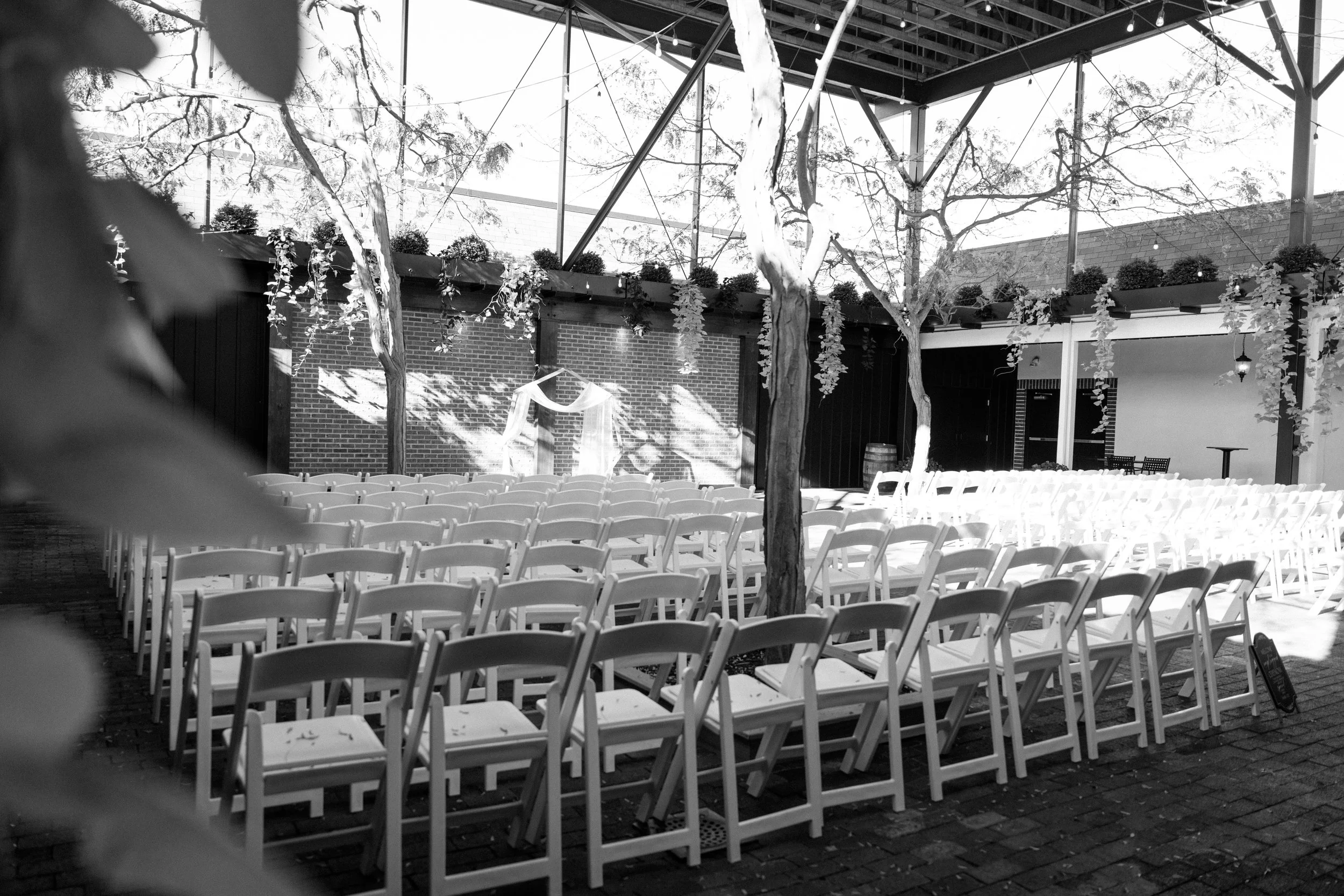 Empty outdoor wedding or event seating area with white chairs arranged in rows, trees, string lights, and a stage or altar backdrop under an open metal framework.