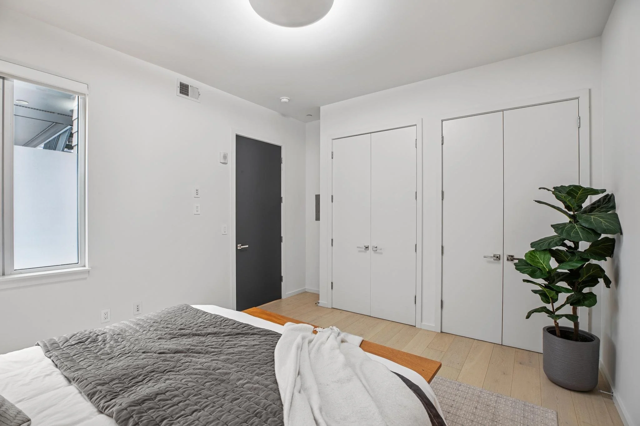 A bedroom with a bed in the foreground, gray quilted bedspread, white sheets, and a gray throw blanket. To the right is a large potted fiddle leaf fig plant. The wall behind features a black door, double closet doors, a window, and some electrical ou