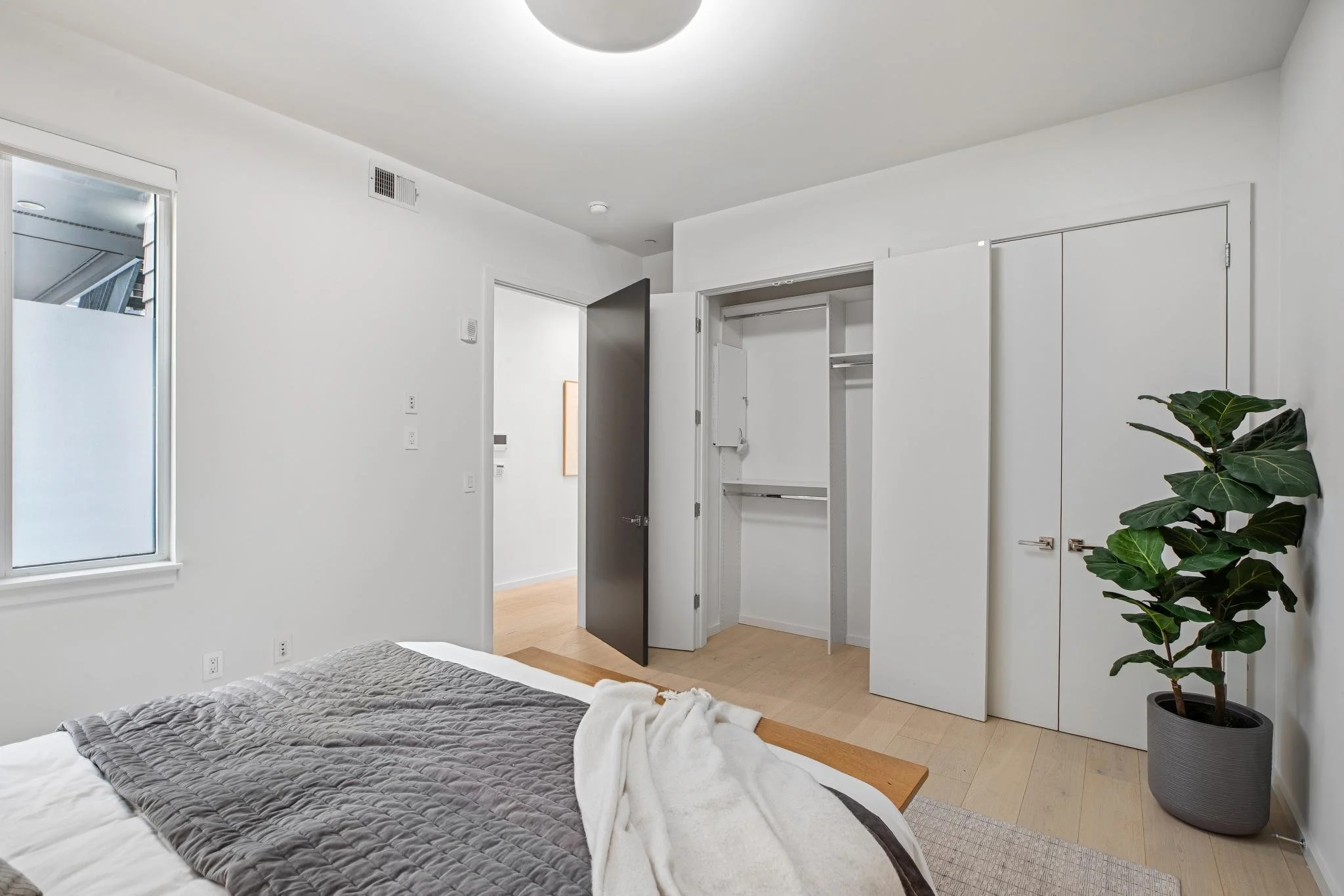 A bedroom with a bed covered in a gray and white quilt. There is a large potted plant with dark green leaves in the corner. On the wall, there is a closet with double doors and an open doorway leading to a hallway. The room has hardwood floors, white