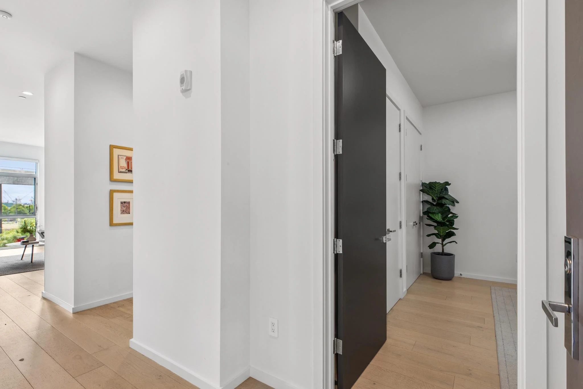 Modern interior entryway with a black door slightly ajar, white walls, hardwood floors, and a potted plant in a gray pot.