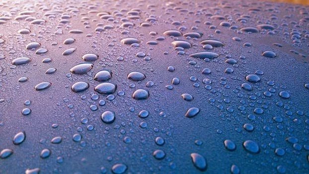 What is Moisture Vapor Transmission (MVT)?