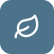 Icon of a leaf inside a rounded square