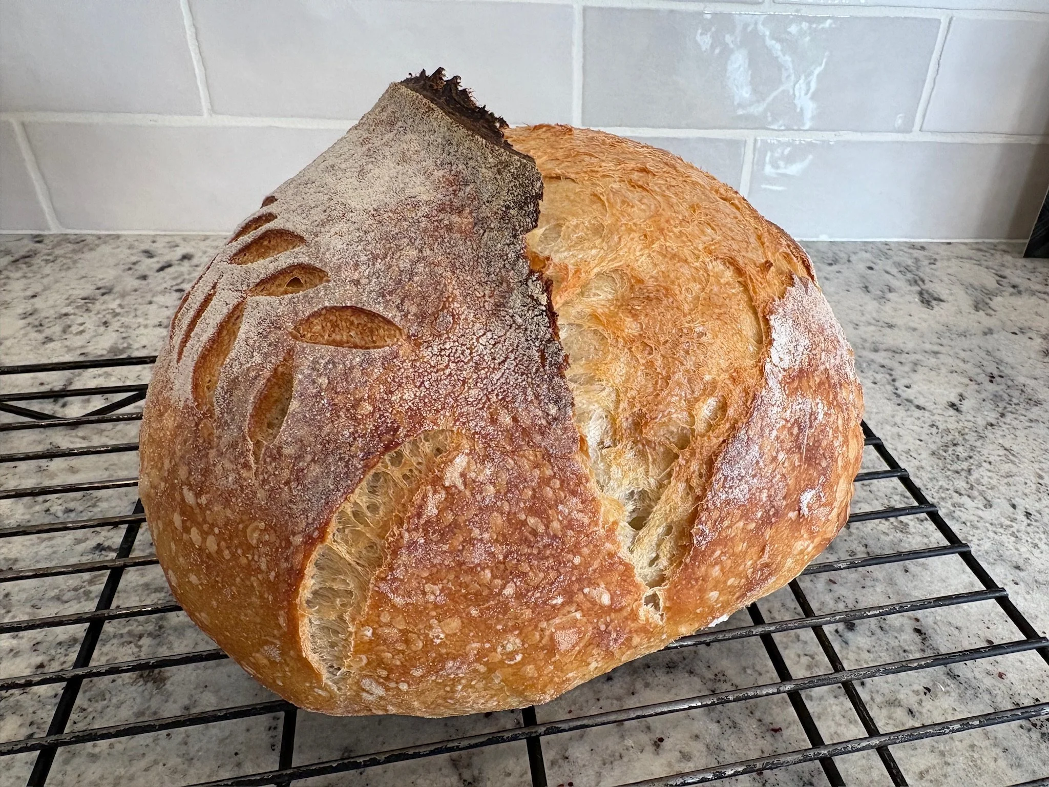 A round loaf of crusty bread with a dusting of flour on top, cooling on a wire rack in a kitchen with a white tiled wall and a speckled gray countertop.