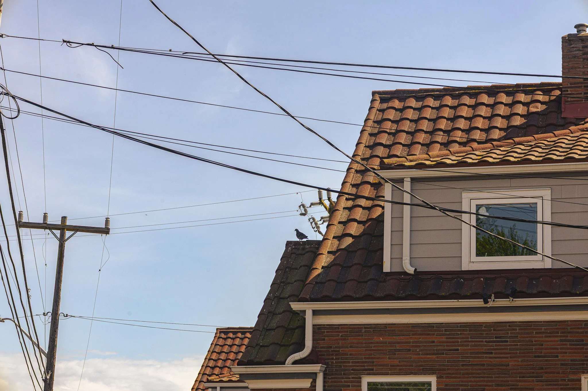 A house with a tiled roof, window, and brick wall, overcast sky, and electrical wires in the foreground. Two birds are perched on the roof.