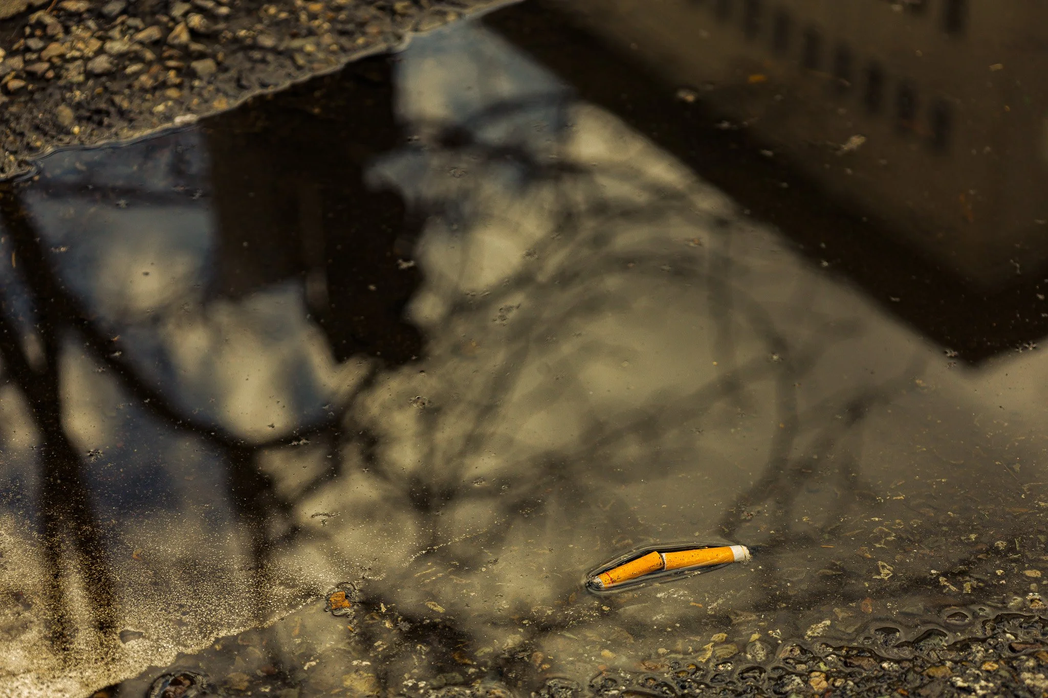 A cigarette butt lying on the ground near a puddle with a reflection of a dark object.