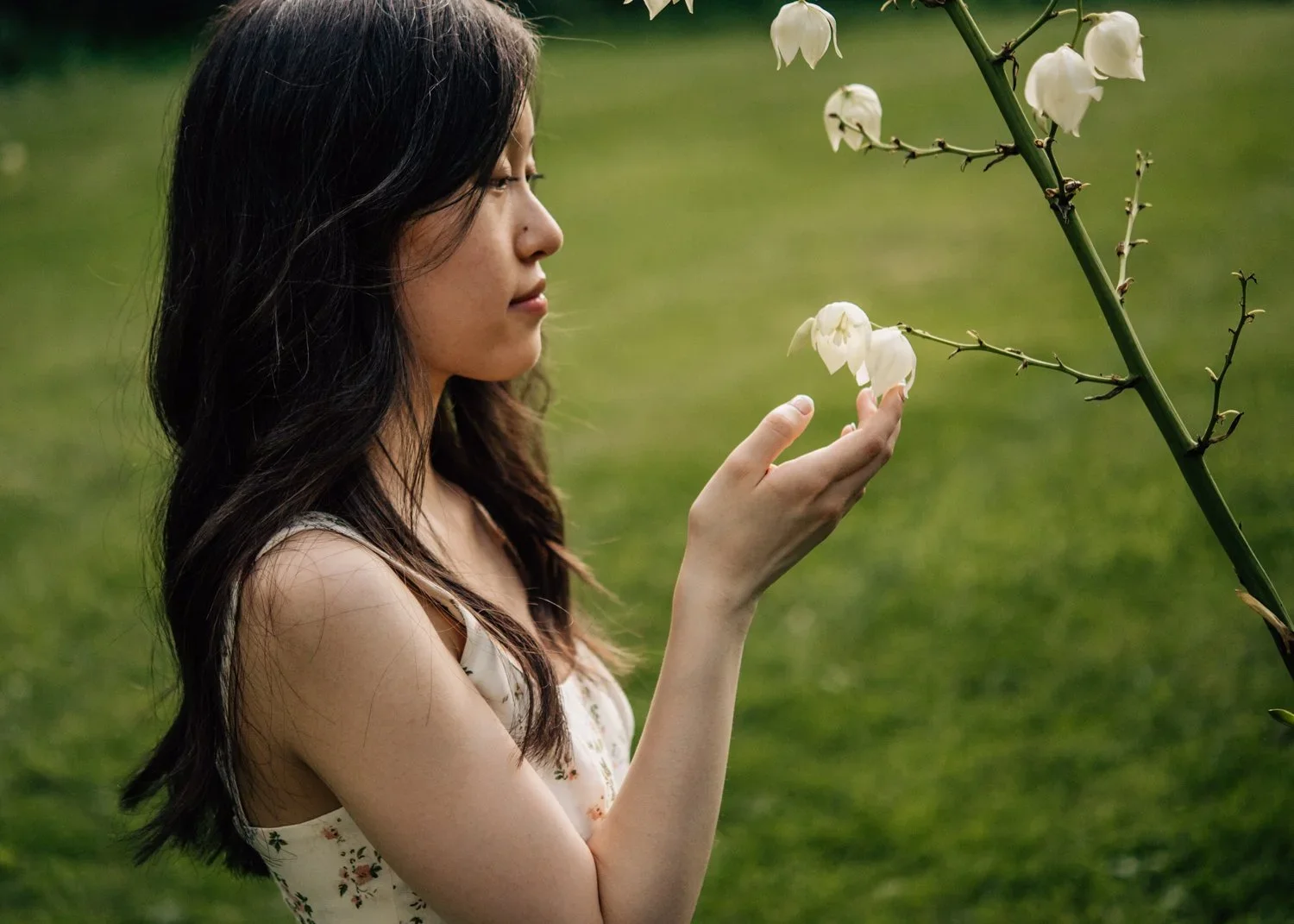 lin-223.jpg.webp