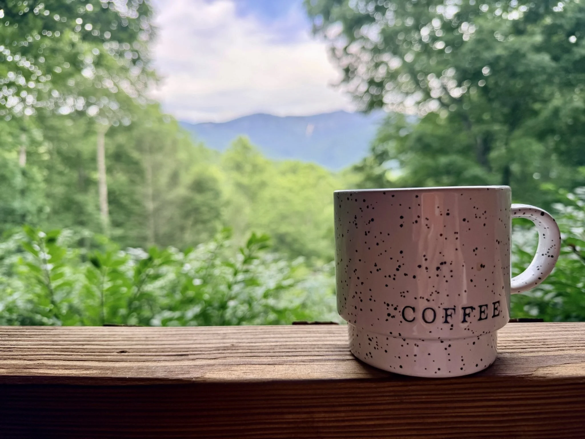 Close-up of a pink coffee mug with black specks on a wooden surface, with a background of blurred green trees and mountains.