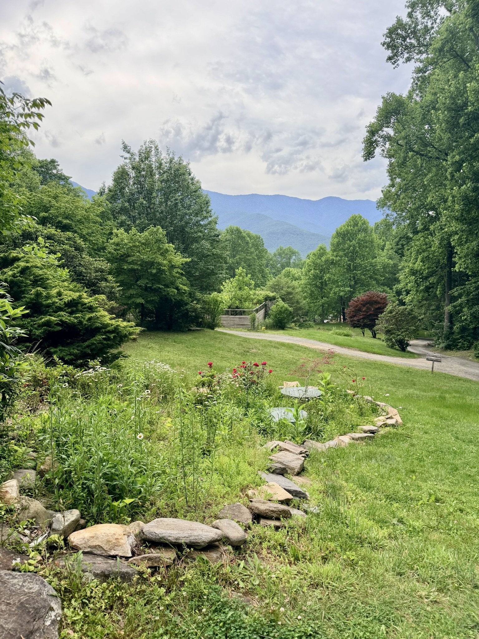 A lush green garden with plants, trees, a stone pathway, and a mountain range in the distance under a cloudy sky.