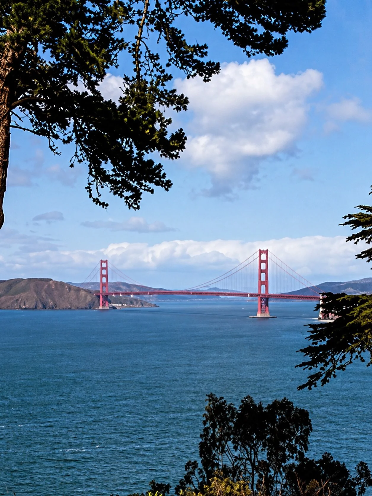We&rsquo;re excited to share an early look at the future home of the San Francisco Irish Famine Memorial. ☘️

Overlooking the Golden Gate, this dedicated public space will commemorate the victims and survivors of the Great Famine of 1845&ndash;1852 a