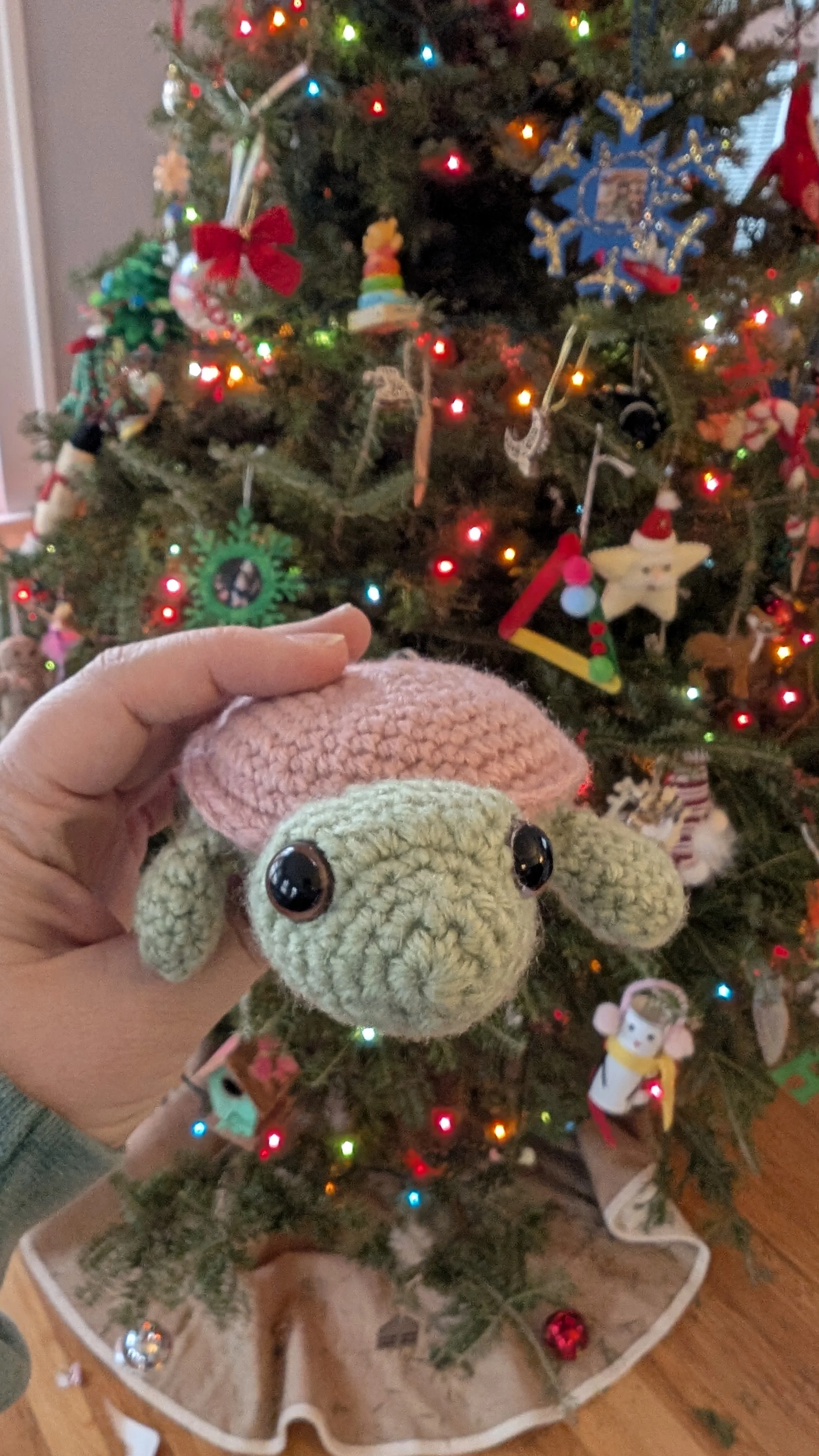 A Turtle, I gave it to my mom for Christmas. 