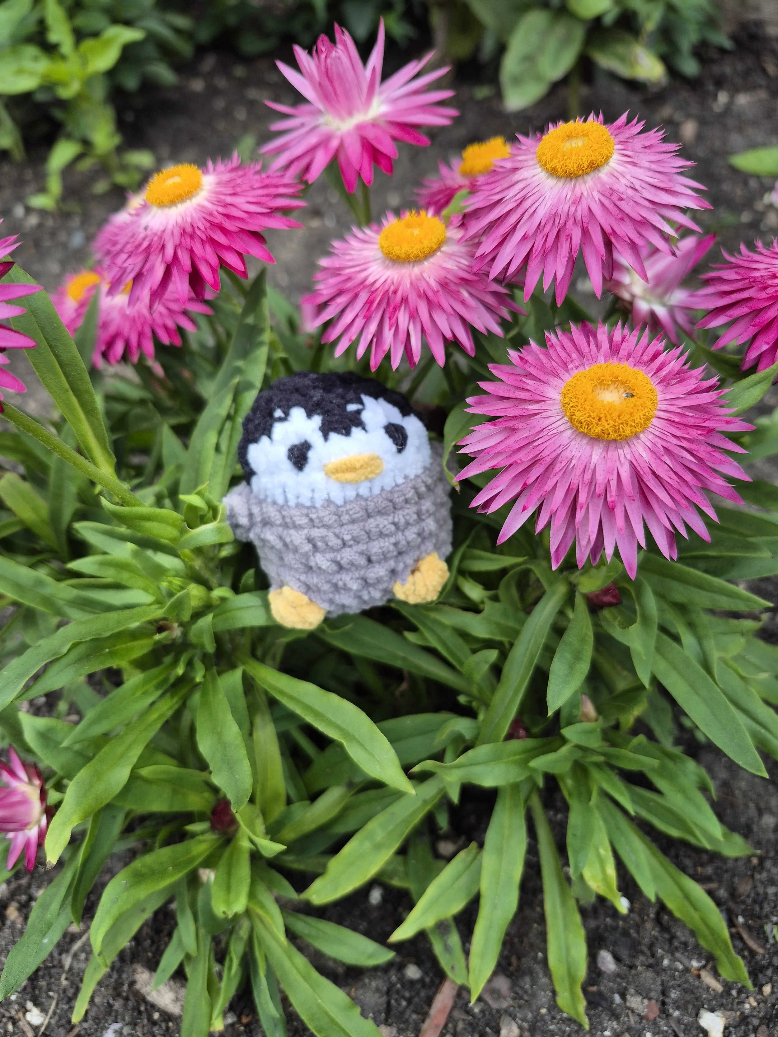 Penguin - $5
