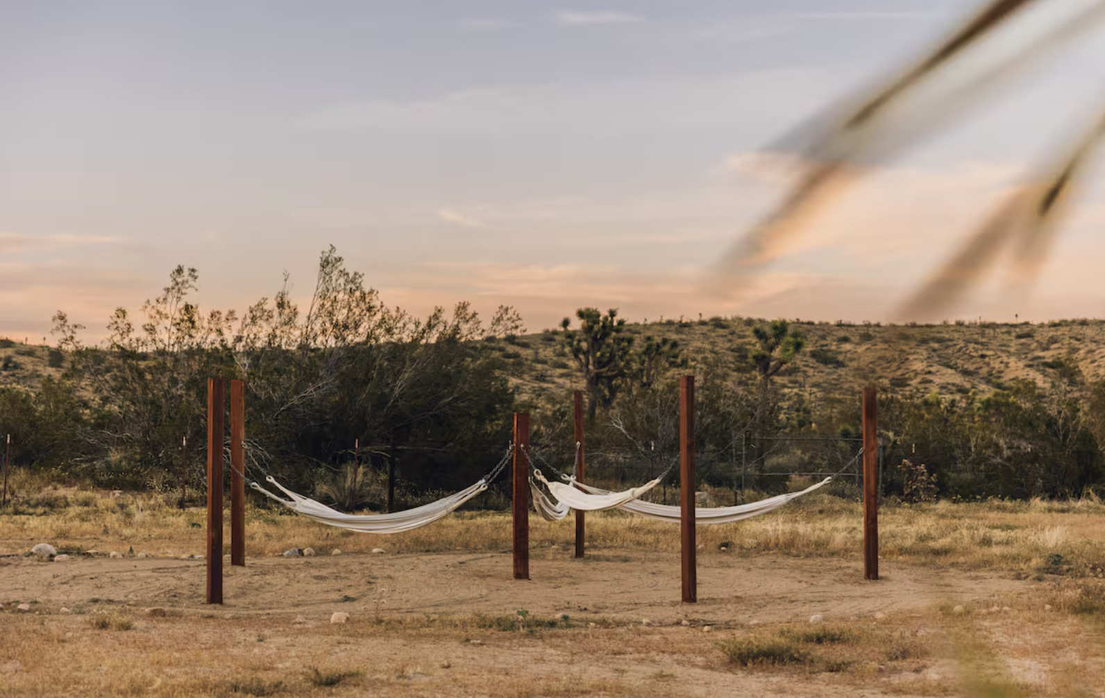 A desert landscape at sunset with a hammock stand holding three white hammocks, set against distant hills and sparse vegetation.