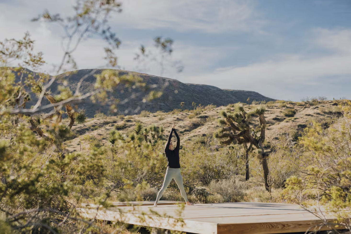 A person practicing yoga outdoors on a wooden platform in a desert landscape with Joshua trees, mountains in the background, and a partly cloudy sky.