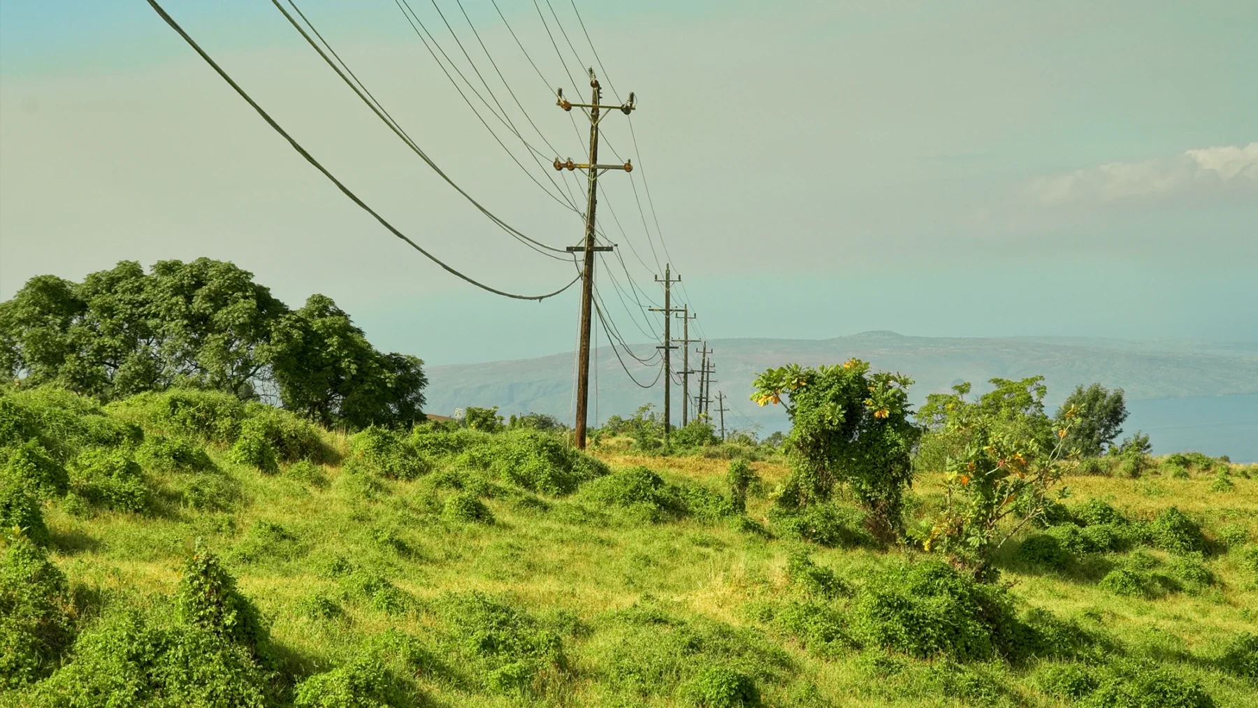 A rural landscape with green grassy fields, scattered trees, and utility poles with power lines stretching into the distance. There are mountains or hills in the background under a partly cloudy sky.