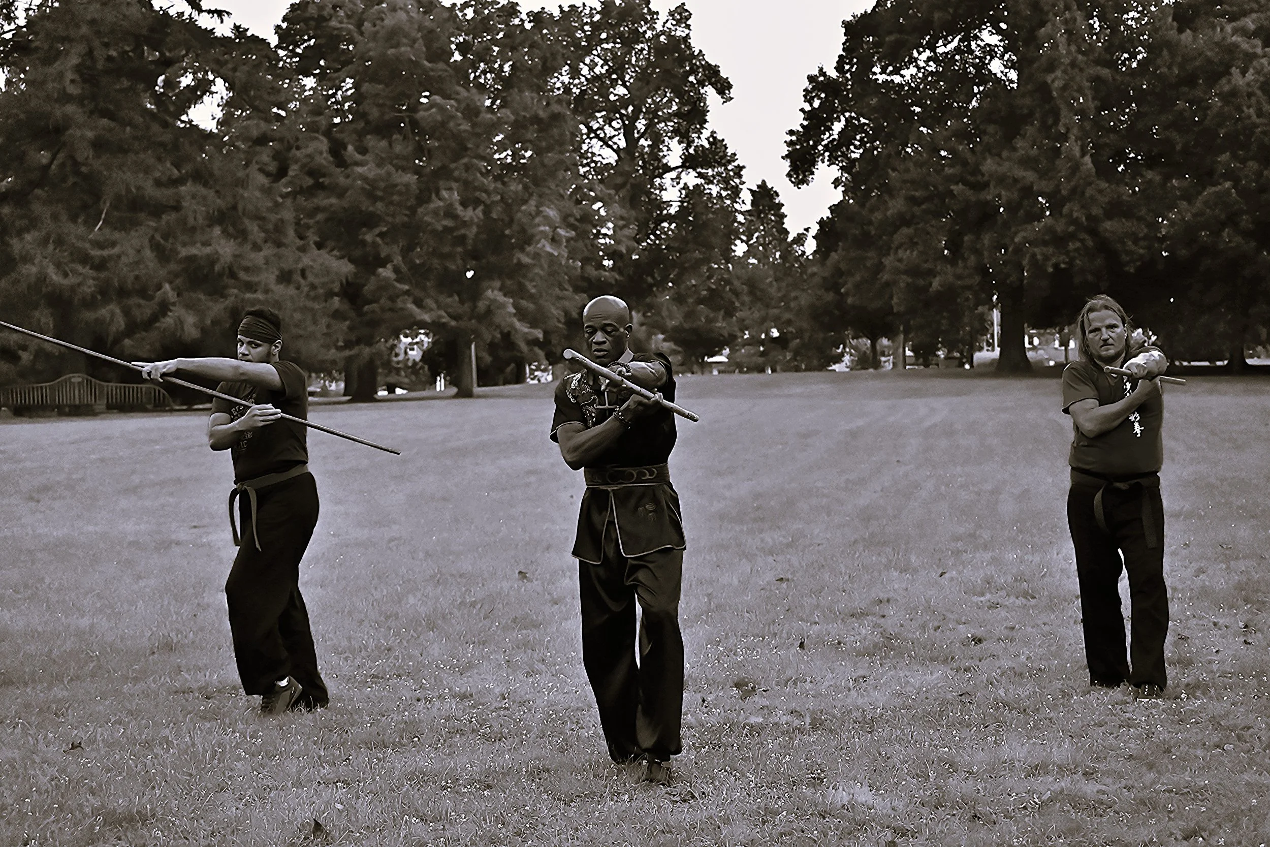 Three people practicing martial arts with staffs in a park, standing in a line with large trees in the background.