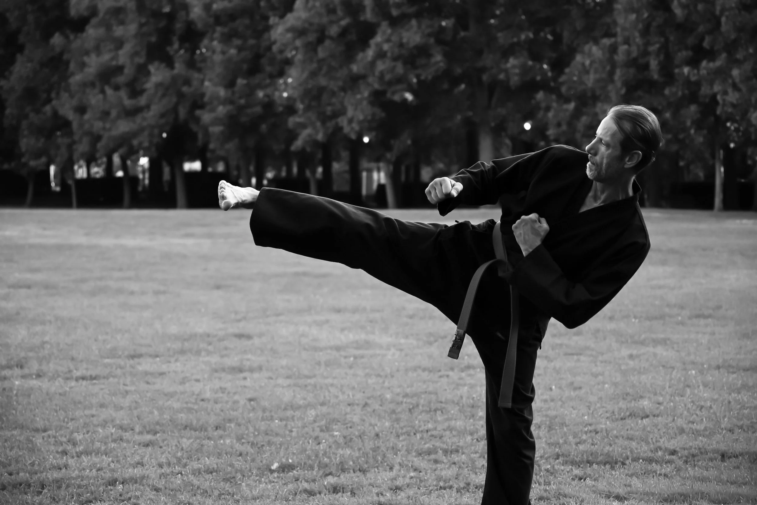 A man practicing martial arts outdoors on a grassy field, performing a high kick while dressed in a black gi.