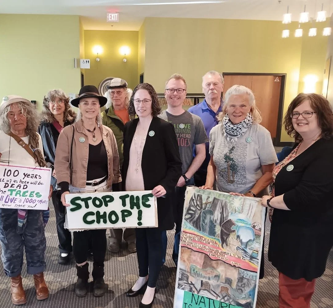 Save Loudon Park turned into a community engagement process that involved collaboration and co-operation among multiple community groups.