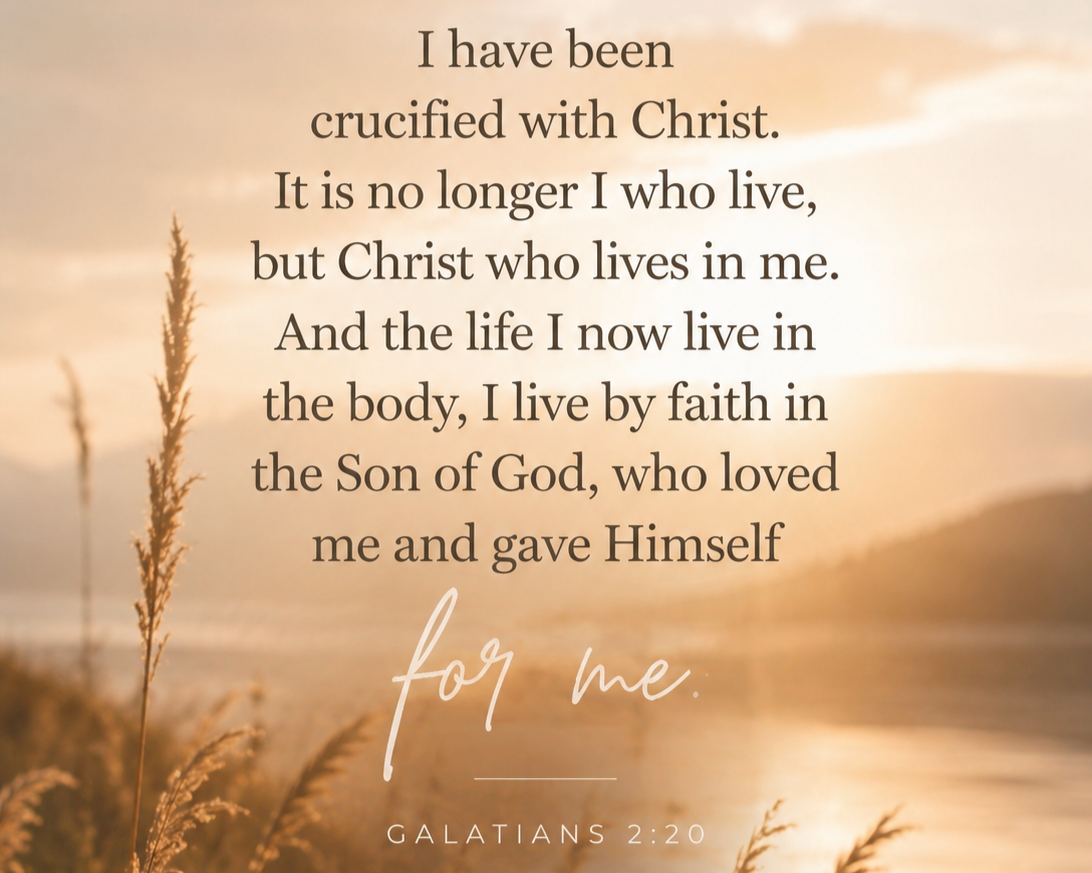 Inspirational religious quote from Galatians 2:20 over a blurred sunset background with tall grasses in the foreground.